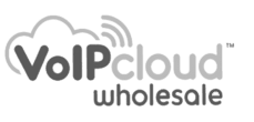 voip cloud